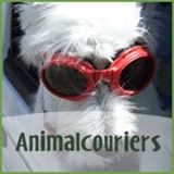 Animal Couriers dog wearing goggles