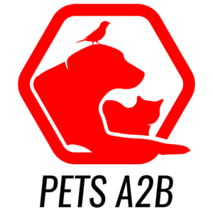 pets a 2b pet transport firm UK